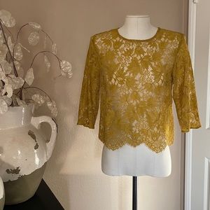 Zara lace top